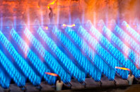 Darton gas fired boilers